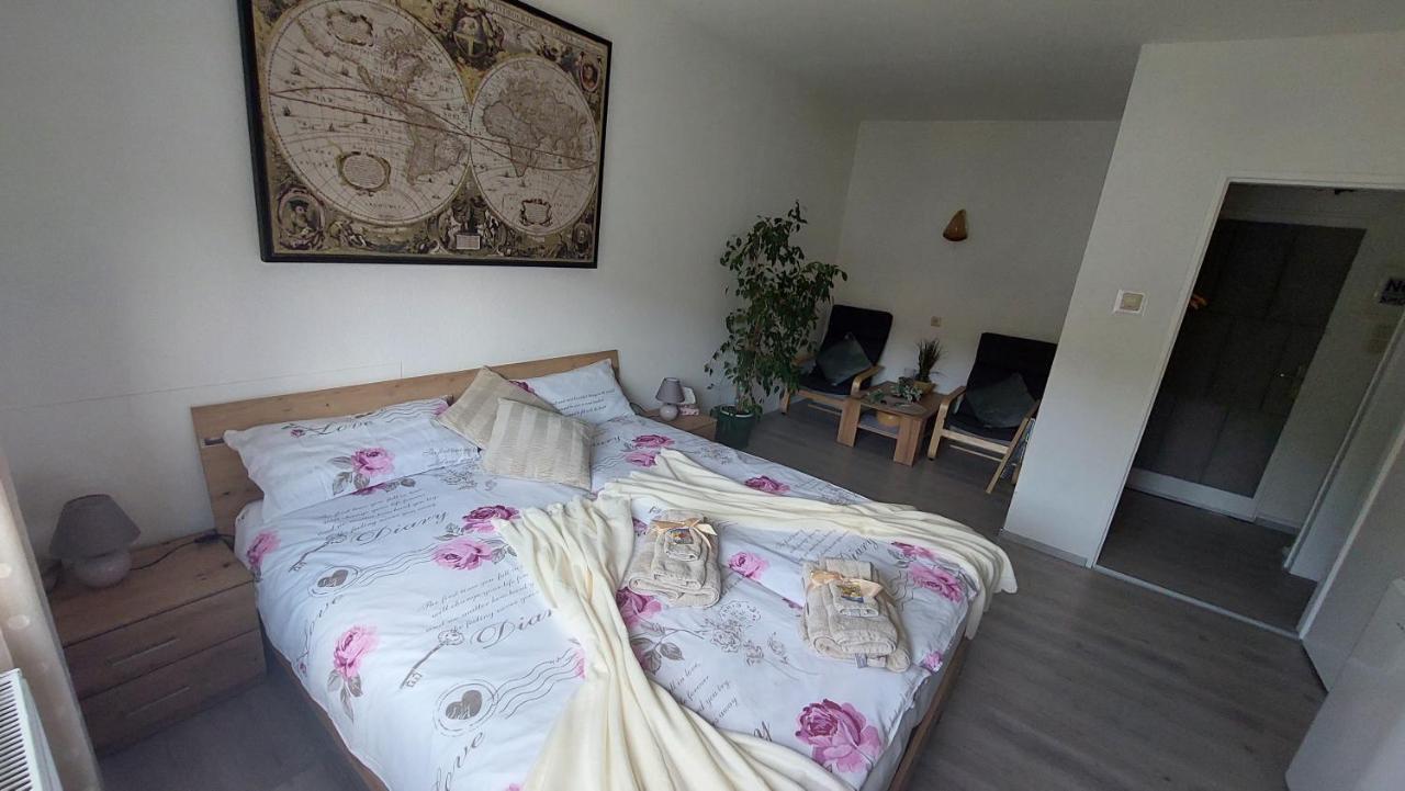 Pension Ringo, Airport Pit Stop, Bahnhof Und Flughafen In Der Naehe บาเดน-บาเดน ภายนอก รูปภาพ